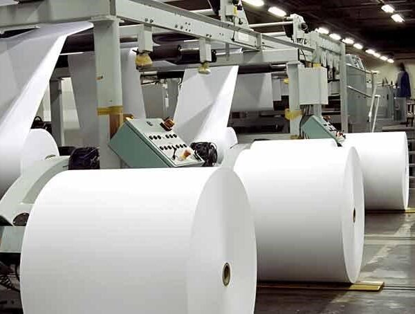 Conclusion_Top_10_Chemicals_Used_in_Paper_Pulp